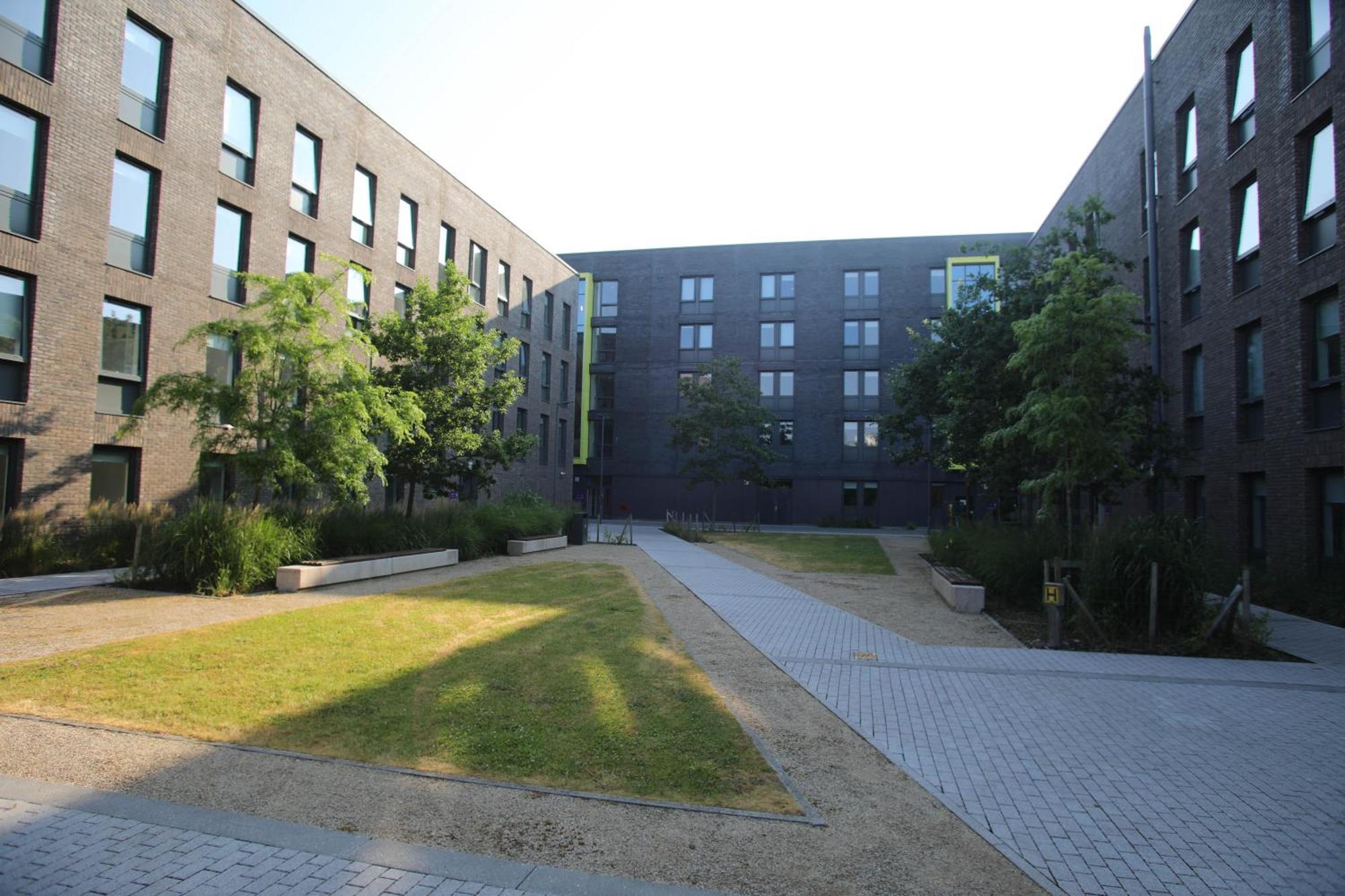 University Of Galway Apartments Chambre photo