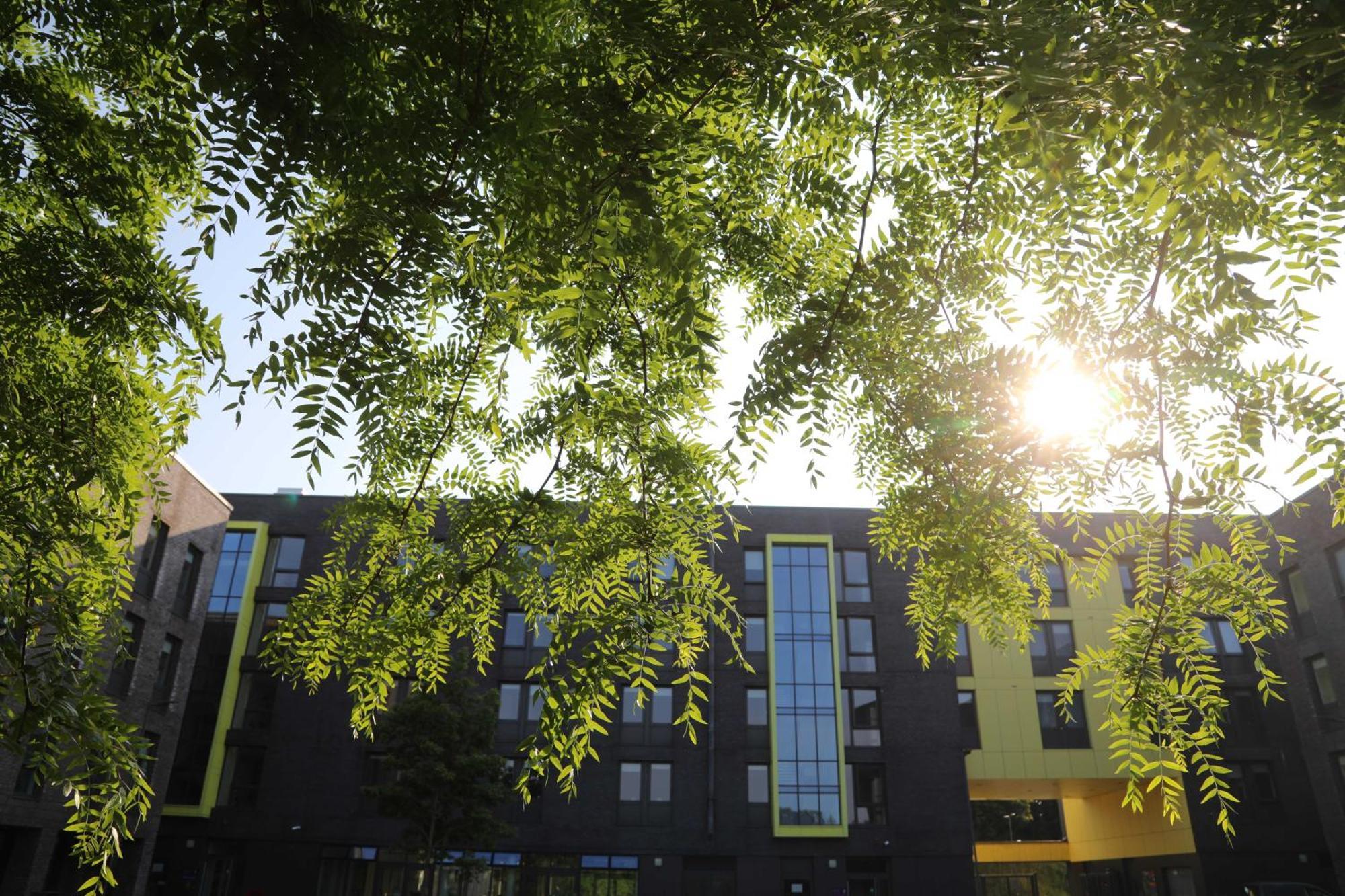 University Of Galway Apartments Chambre photo